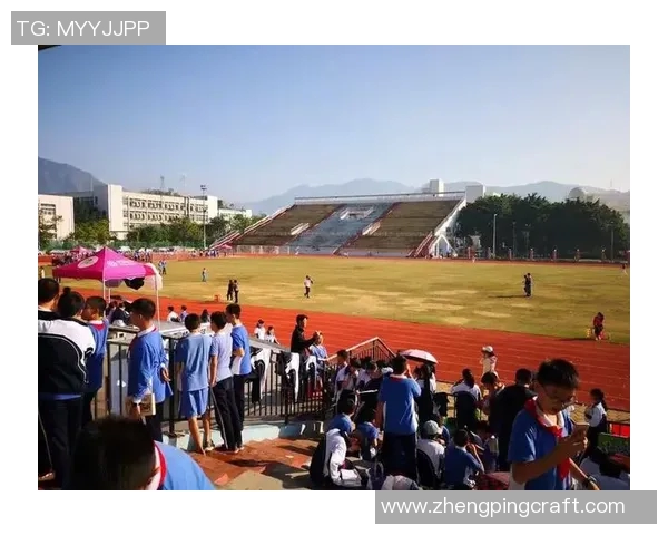 在绿茵场上闪耀的星光与梦想的交响曲